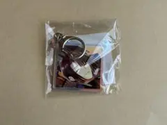 FGO　ホテルカルデア　ランダム　オーロラアクリルキーホルダー　太公望