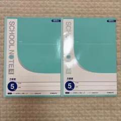 大きいサイズ スクールノート A4 5㎜方眼 ２冊セット キョクトウのサムネイル