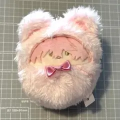 ブレイクマイケース ブレマイ くるみたぴぬい 綾戸恋　たぴぬい