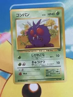 ポケモンカード　コンパン　旧裏