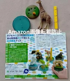 2026年最新】旭山動物園カプセルZOOの人気アイテム - メルカリ