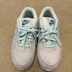 NIKE AIR MAX 24.5センチ
