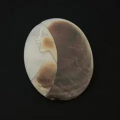 シェルカメオ ブローチ兼ペンダント　ヴィンテージ　0917003