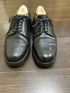 チーニー　ケンゴンのサムネイル