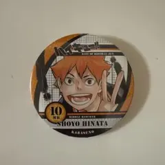 【ハイキュー】コレクション缶バッジ 日向