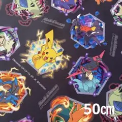 オックス　ポケモン生地　ポケットモンスター　　50㎝ ピカチュウ　インクジェット