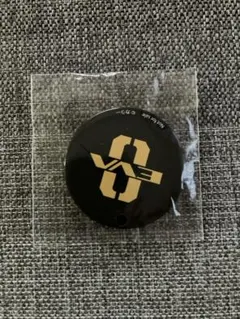 EVA 0 ロゴバッジ 黒と金