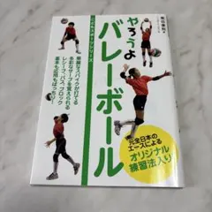やろうよバレーボール