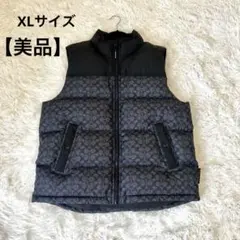 【極美品】COACH コーチ　ダウンベスト 650フィルパワー ブラック XL