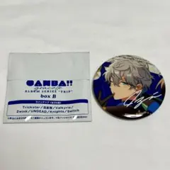 あんさんぶるスターズ CANBA!! 瀬名泉 缶バッジ