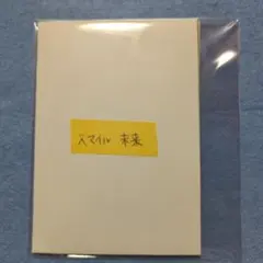 おすし様 リクエスト 2点 まとめ商品