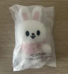 Stray kids スキズ skzoo 10cmぬい　リービット