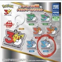 ポケモン 30周年 メタルチャーム カメックス