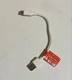USB Type-A to Type-C 充電ケーブル