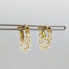 Item thumbnail for item 5c4f3b7d-19e7-4729-9c09-05af8a9f5d6c