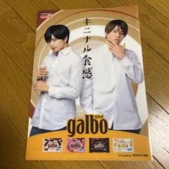 セクシーゾーン クリアファイル