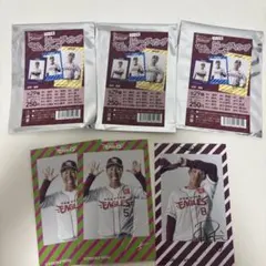 楽天イーグルス チェキ風サインカードセット