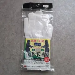 Item thumbnail for item 024a839c-45cd-495b-b2c5-7b4b731f9b2b