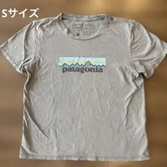patagonia オーガニックコットン Tシャツ Sのサムネイル