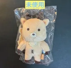 RIIZE ソンチャン ウラッバム ぬいぐるみ キーリング 10CM 2024 - メルカリ