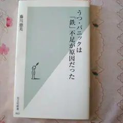 Item thumbnail for item ef082865-3f3f-49f5-a493-339100de4928