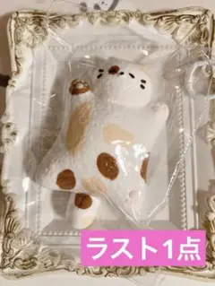 メロジョイ Mellojoy にゃんでも屋 kikiスクイーズ Mellojoy入荷しましたー✨ 今人気のメロジョイスクイーズ！！ 早い者