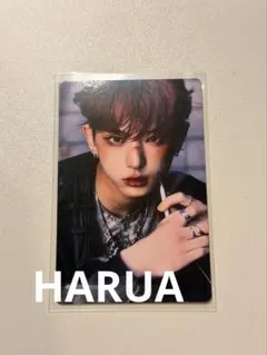 &TEAM ハルア　HARUA Back to Life フォトカード　A