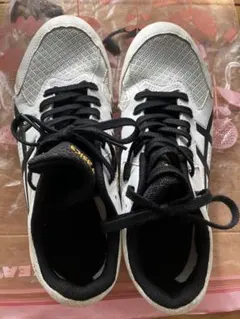 Item thumbnail for item 9fb822b0-8a90-43e5-8d7d-36405be8b0f4