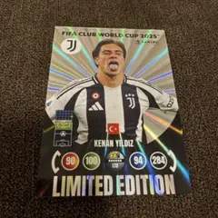 Item thumbnail for item f20a44e6-32a3-48cf-8876-54c40e7fc680