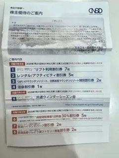 日本スキー場開発株主優待1冊　2026シーズン