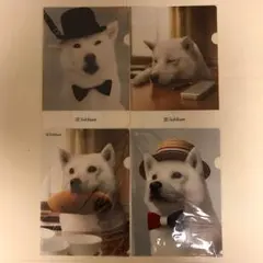 ソフトバンク  白戸家  お父さん  クリアファイル  4枚セット