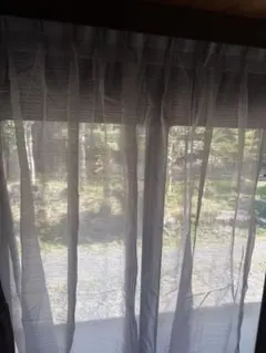 Item thumbnail for item 79dabd12-8441-44fd-be21-726bd60c811f