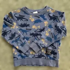 Item thumbnail for item 1670f070-0117-42f0-8ce4-6c2435d886c7