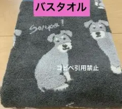 Item thumbnail for item c4a37428-58f9-48b1-9ed0-ca6f9a6996da