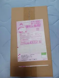 ポケカ　スカーレット&バイオレット　スペシャルBOX　ヒロシマ