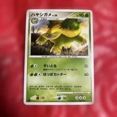 ハヤシガメ AR SV5K ワイルドフォース 072/071 | Mercari