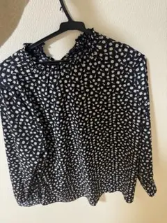 Item thumbnail for item 74d5ffb8-0f02-497d-829d-478900e02510