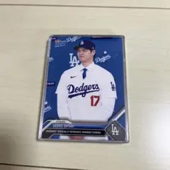 Item thumbnail for item 501d1bda-f2ed-4273-a81d-5c039f0b120e