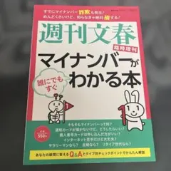 Item thumbnail for item b1232da9-6618-438f-800c-bd66c61b3564