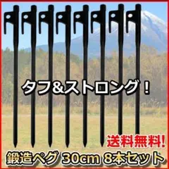 鍛造ペグ 30cm 8本 収納袋付 テント設営用 アウトドア ペグのサムネイル