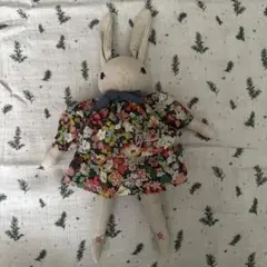 polka dot club ラビット