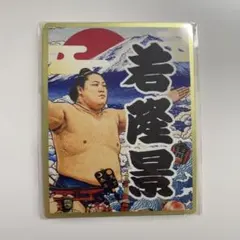 大相撲 EXPO 京王新宿場所限定 クリアファイル ステッカー 熱海富士