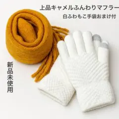 Item thumbnail for item 6366d615-a467-40b3-bf92-95d3f51583a6