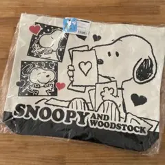 Item thumbnail for item 40c2ae13-47ab-4e55-954b-b1b52886af6e