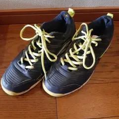 Item thumbnail for item 06861100-7220-4919-87c5-bfd0bc17ba9b