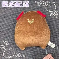 お文具といっしょ チョコレートカラーぬいぐるみ ゼリーさん
