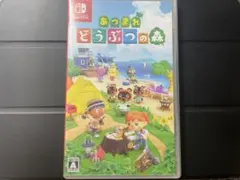 レ*️様 あつまれ どうぶつの森 Nintendo Switch