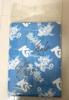 Item thumbnail for item 90c8d4c0-51de-433d-a6c0-4009421e577e