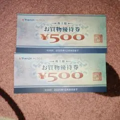 ヤマダ電機　 お買物優待券 ¥500 2枚セット