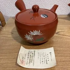 Item thumbnail for item 813ec842-4024-4fb9-909b-0f17a1311a6f